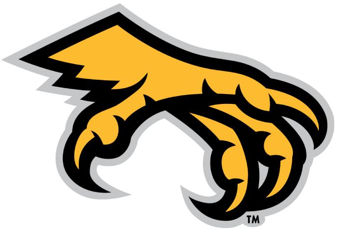 Kennesaw State Owls 2012-Pres Alternate Logo 03 iron on paper